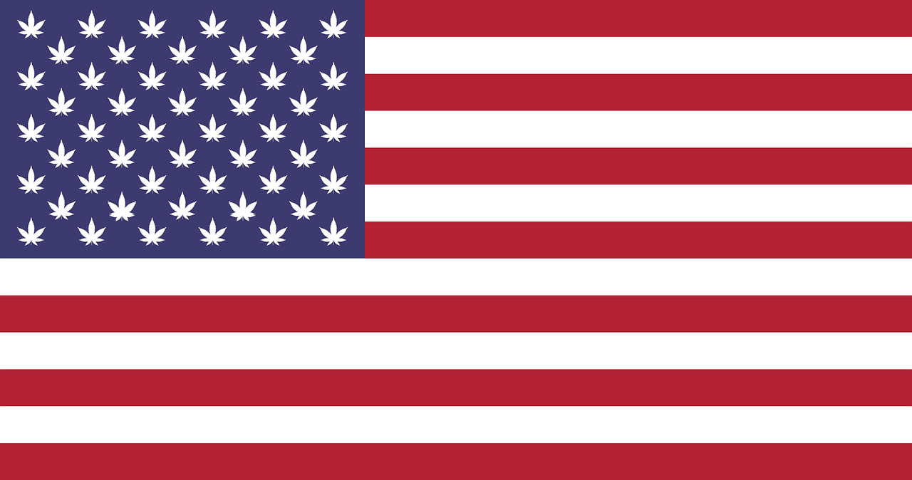 USA Flag